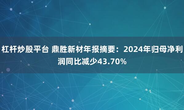 杠杆炒股平台 鼎胜新材年报摘要：2024年归母净利润同比减少43.70%