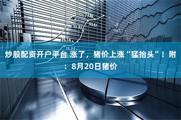 炒股配资开户平台 涨了，猪价上涨“猛抬头”！附：8月20日猪价