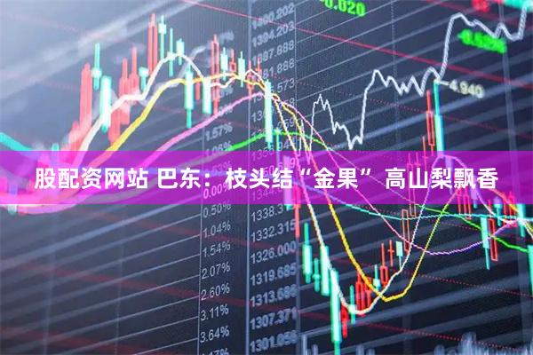 股配资网站 巴东：枝头结“金果” 高山梨飘香